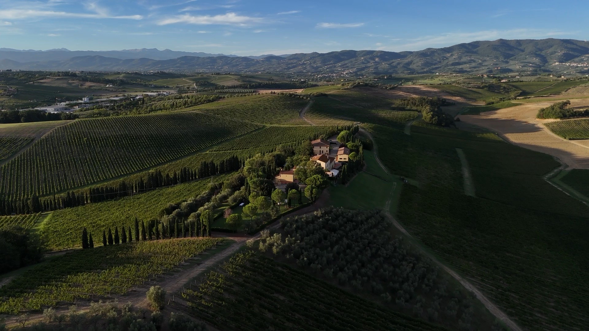 Vigneti, uliveti e una location toscana ripresi dall’alto con il drone